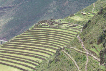 Pisac - Cusco